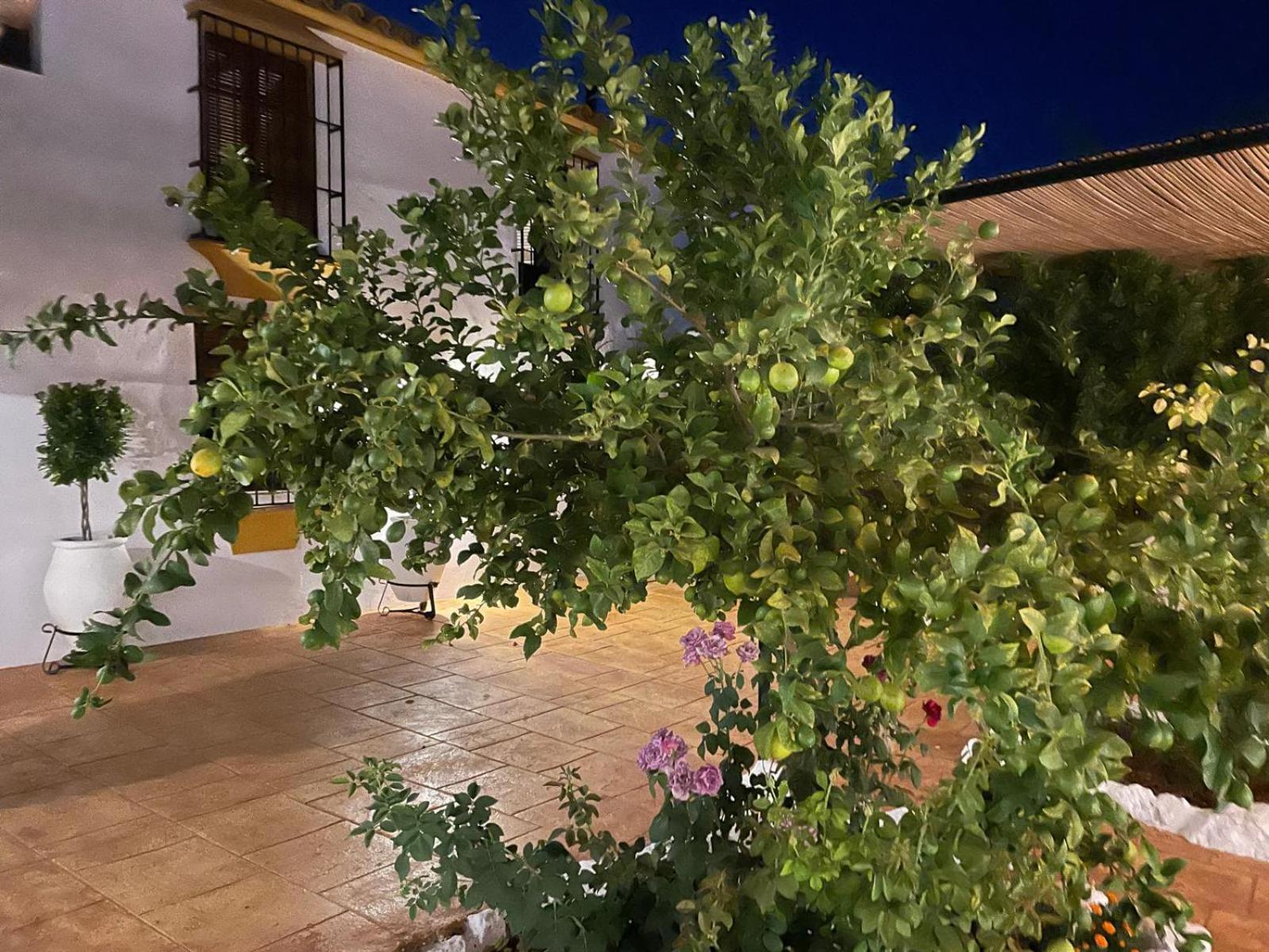 Hébergement de vacances Cortijo La Canada Zambra