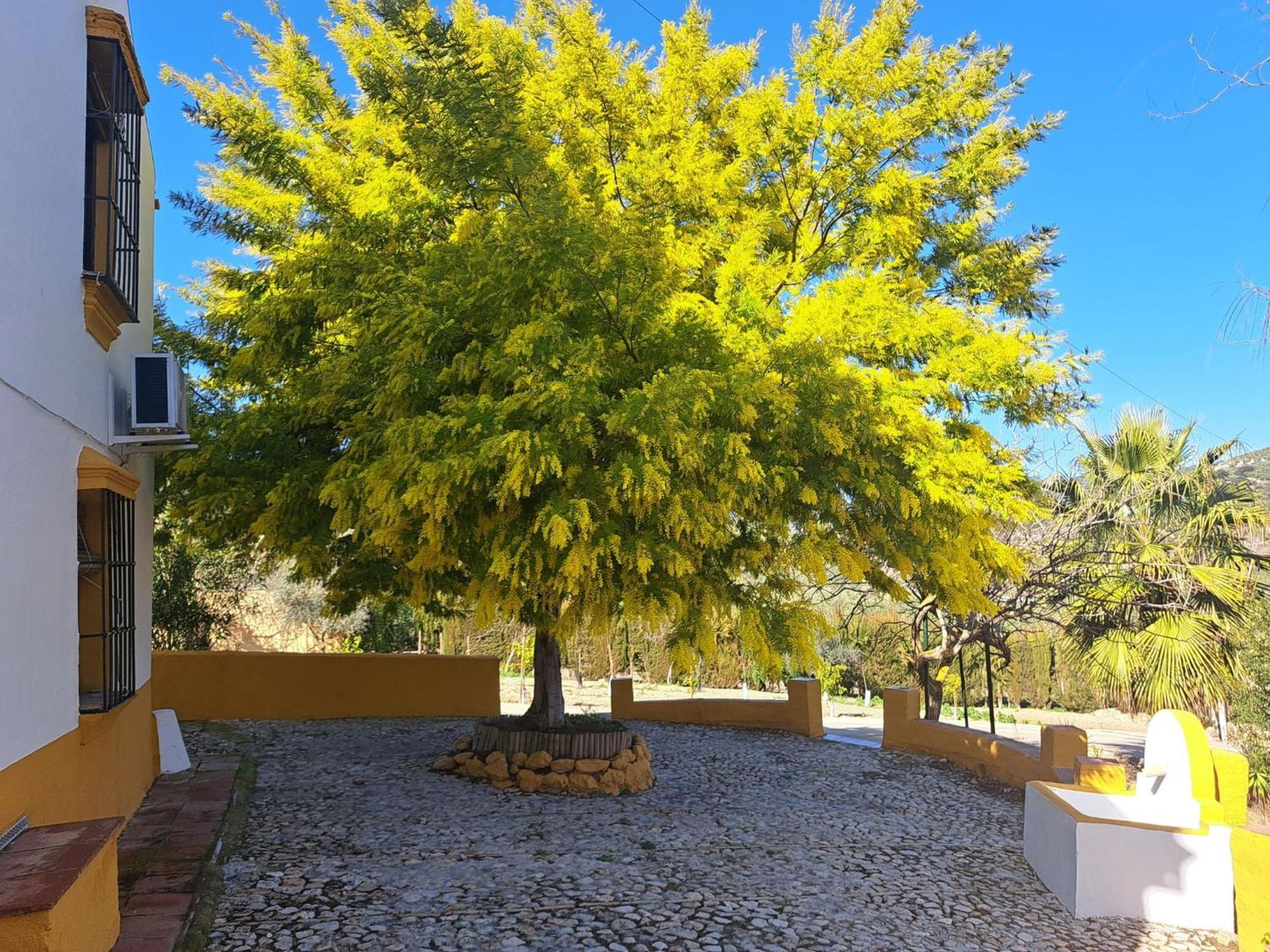 Cortijo La Canada Hébergement de vacances *
